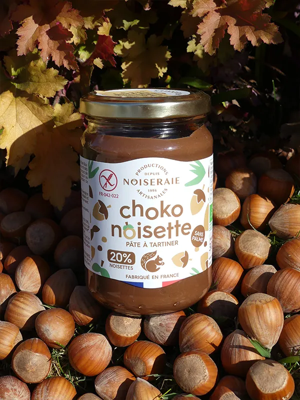 Chokonoisette